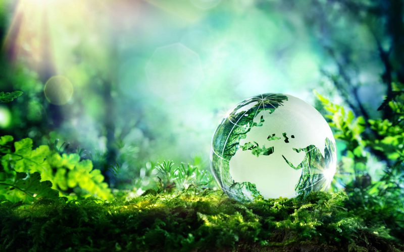Groene wereld